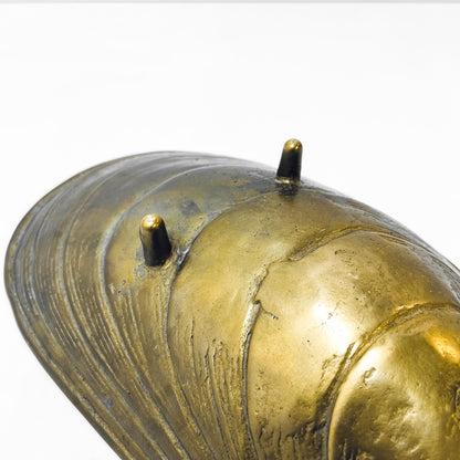 Messing Schale in Muschelform